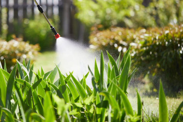 24/7 Emergency Termite Control experts in Gray, TN